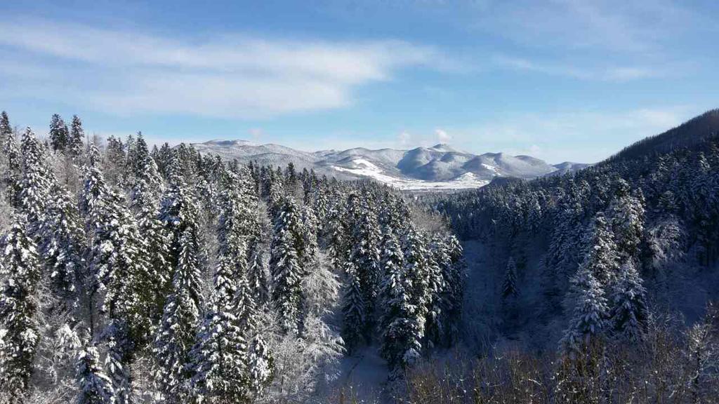 Appartamento Apartman Nada Fužine Esterno foto