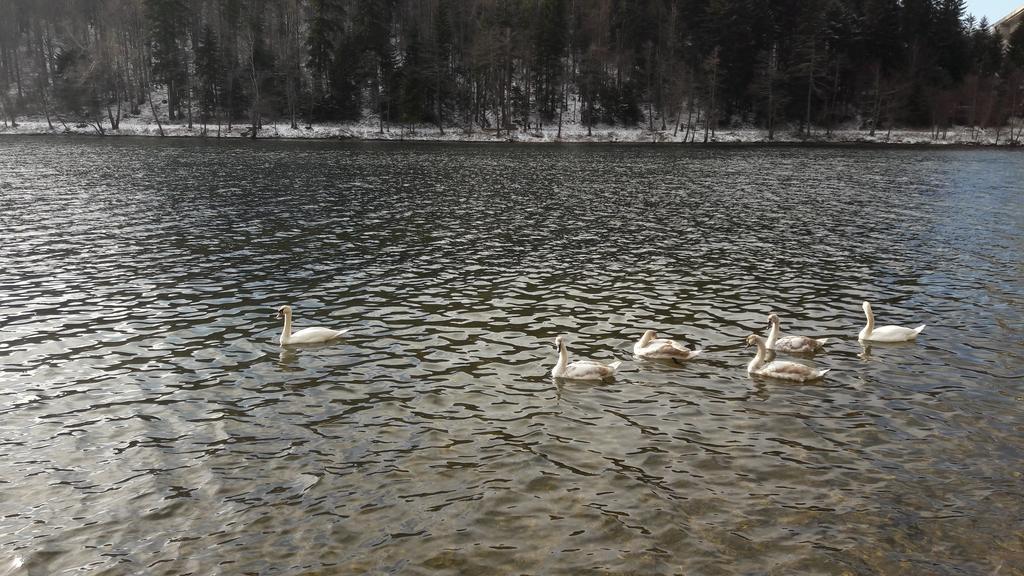 Appartamento Apartman Nada Fužine Esterno foto